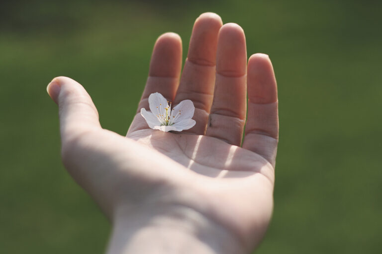 [Blogger Tipps] Aller Anfang ist schwer