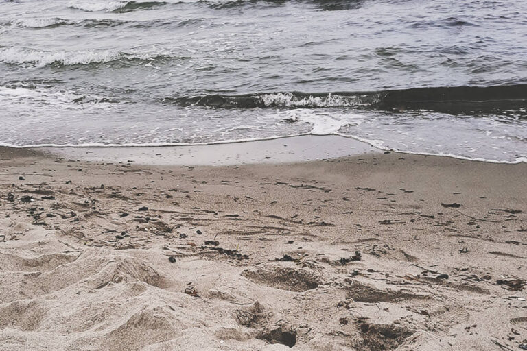 Depressionen, den Kampf ansagen