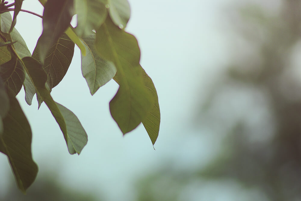 Metamorphosis – Meine Transparenz an euch
