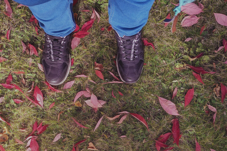 Smartphone & Kamera: Und wie fotografierst du?